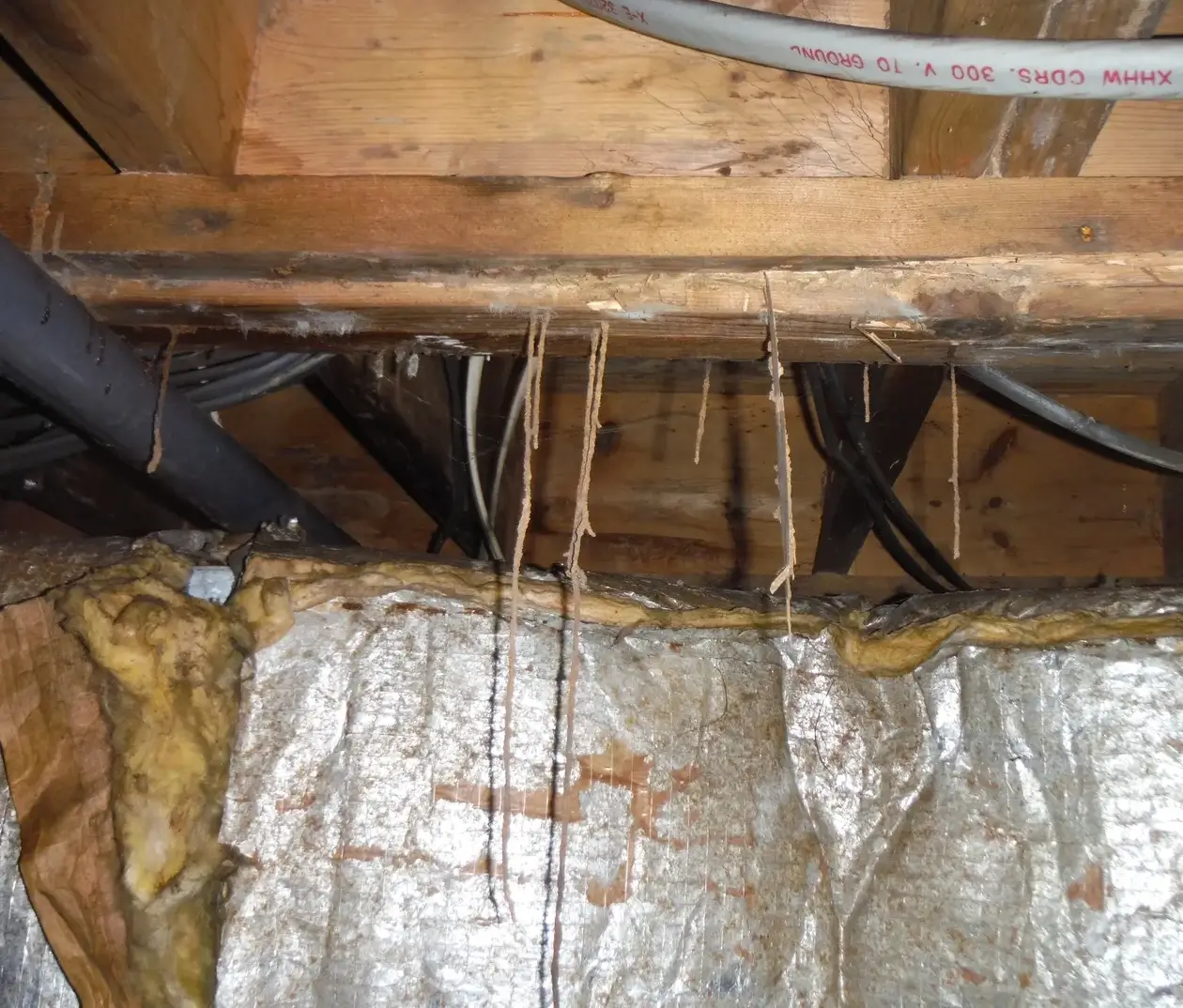 A view of the inside of a house.