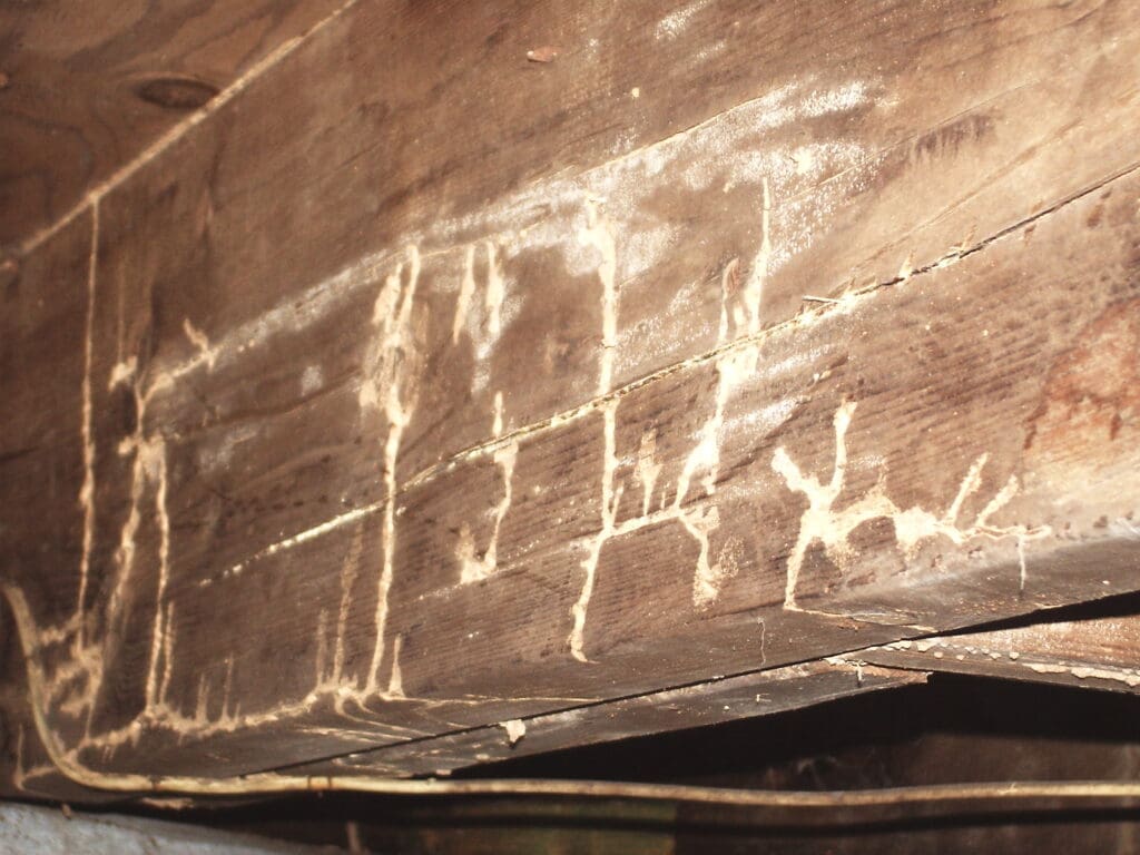 A close up of some writing on the side of a building