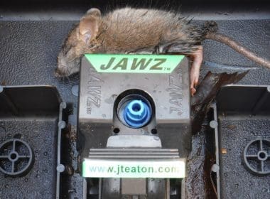 A rat is laying on top of a machine.