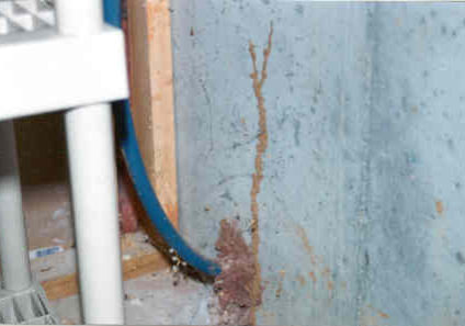 Termite damage on cement wall with pipe.
